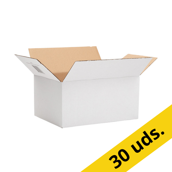 Pack 3x: 123tinta cajas de envío de con cierre automático 310 x 220 x 150 mm (10 unidades) 301962 - 1