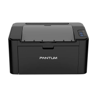 Pantum P2516 Impresora láser A4 en blanco y negro 850200