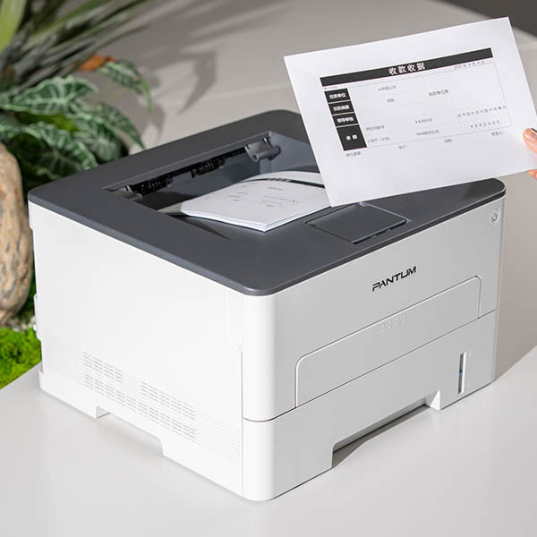 Pantum P3020D Impresora láser A4 en blanco y negro 850204 - 5