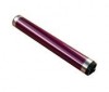 Ricoh 54469510 tambor (original) 074504 - 1