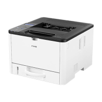 Ricoh P 311SE Impresora láser blanco y negro A4 896169