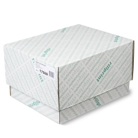 Rillstab 17989 Papel continuo | 240mm x 11 pulgadas | 2 capas | 1.000 hojas (60-57g/m²) 068020