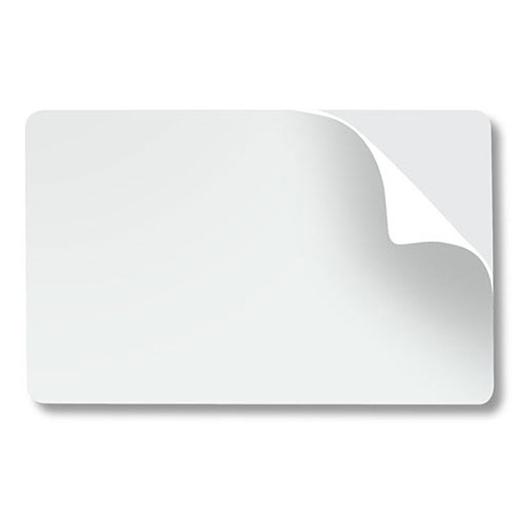 Zebra 104523-010 tarjetas pvc blancas (500 piezas) 104523-010 141570 - 1