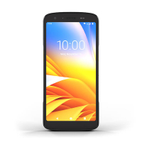 Zebra TC22 terminal portátil 848223