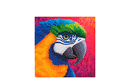 Tarjetas Diamond Painting