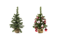 Pequeños árboles de Navidad